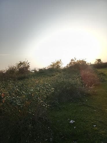 Дачи: 24 соток, Возможен обмен, Купчая — 8