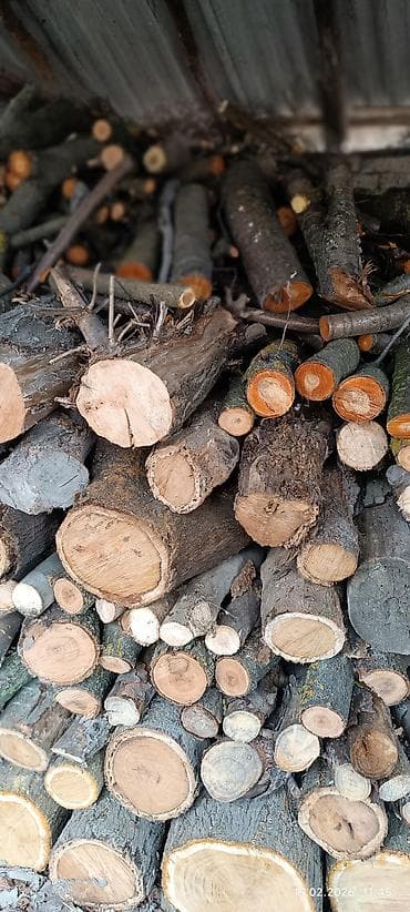 Odun – qarışıq ağac növləri, budaq və gövdə hissələri. - Kalibrlər