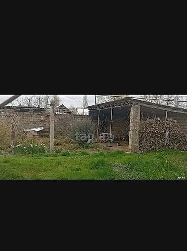 bine qesebesinde ev: Kənd təsərrüfatı, Makler, Kupça (Çıxarış) — 8