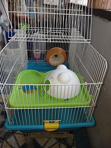 Hamster üçün tam dəst qəfəs uzunluqu 55 sm hündürlük 45 sm eni 30 sm