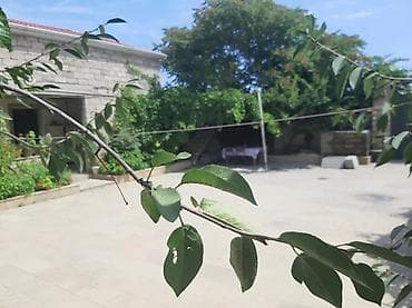 goycayda evler: - Geniş, daşla döşənmiş həyət: yaşıl ağaclar, gül kolları, hasarlı — 7