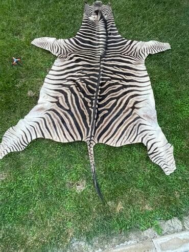 oval xalca: Xalça Dekorativ, Kredit yoxdur — 2