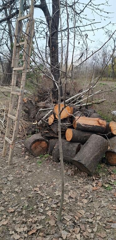 qaymaq decor up: Salam krasavitsa armud tingləri var 1manat 50 qəpiydən. Təxminən — 3