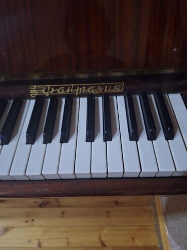 электронная ударная установка для начинающих: Upright piano – “Parnasus” (Лира və not işarəli loqo ilə) - Korpus — 1