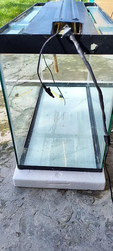 baliq: Dördbucaq akvarium, Boş, 80 l, Ünvandan götürmə — 5