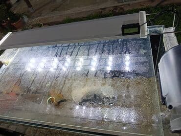 Зоотовары: Akvaryum komplekti - Şüşə akvaryum: təxmini ölçü 70×40×40 sm düz — 4