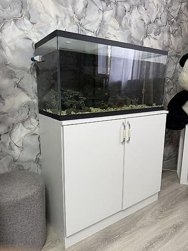 akvarium baku: Dördbucaq akvarium, Boş, 150 l — 4