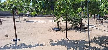 sebail ev: Digah, 40 kv. m, 2 otaqlı, Hovuzlu, Su — 5