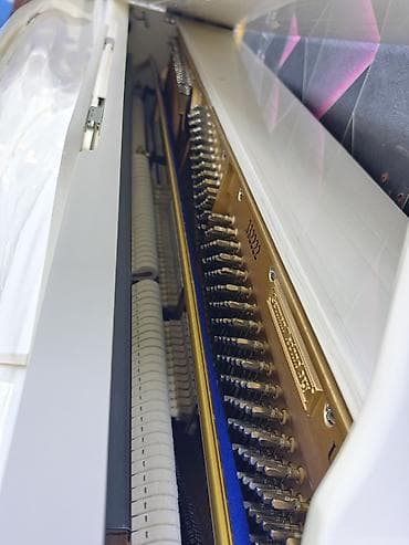 pianer: Piano, Akustik, Yeni, Ünvandan götürmə — 10