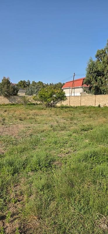 binə evlərin satışı: 50 sot, Tikinti, Kupça (Çıxarış) — 3