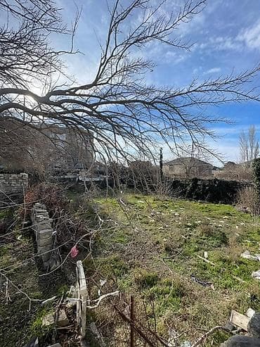 10 sot, Kupça (Çıxarış)