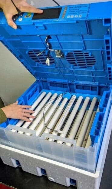 bütün kateqoriyalar: Inkubator inkubatorlarin birinci əl satişi unversal inkubator 64 — 2