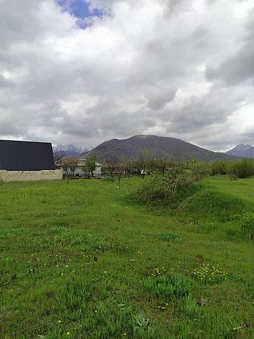 5 sot, Tikinti, Mülkiyyətçi, Kupça (Çıxarış)
