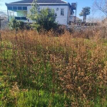 tərtər ev: 18 sot, Tikinti, Barter mümkündür, Kupça (Çıxarış) — 4