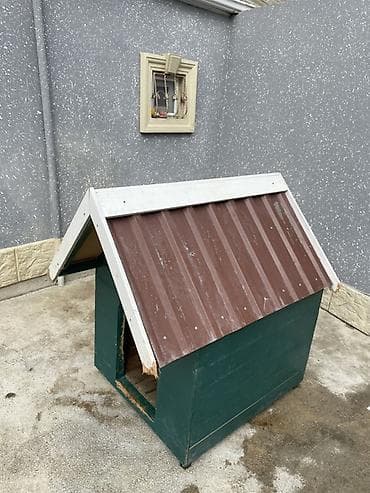 it yuvaları: İt yuvası. Yeni kimidi. Az istifadə olunub. Ünvan Zabrat — 2