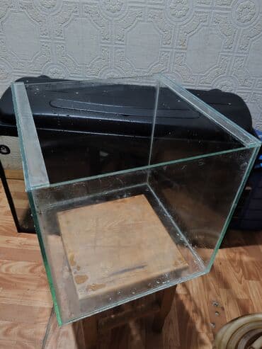 intim oyuncaqların satışı: Şüşə akvarium olcusu 40-40-40 elave seyleride var — 1