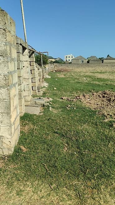 Torpaq: 10000 sot, Tikinti, Mülkiyyətçi, Kupça (Çıxarış) — 4