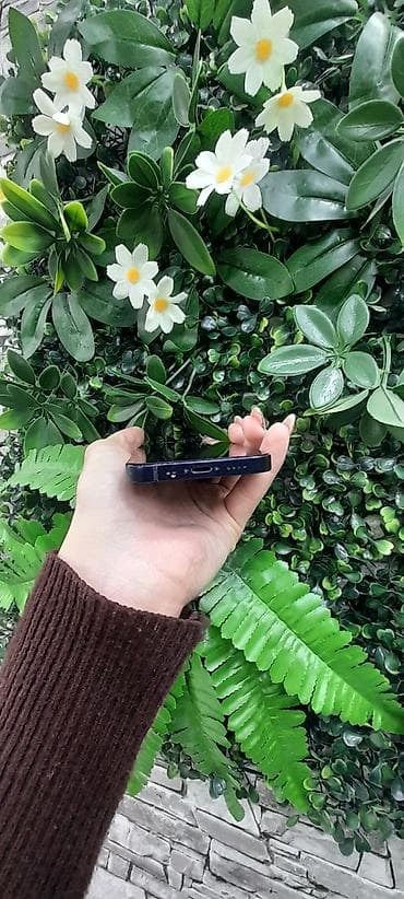 Фото и видеокамеры: IPhone 12 mini, 64 ГБ, Черный, Face ID — 4