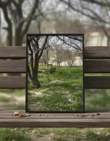 yeni əmlak az: 24 sot, Tikinti, Mülkiyyətçi, Kupça (Çıxarış) — 2