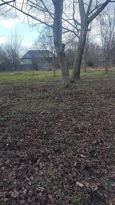 yasil dere torpaq: 10 sot, Tikinti, Maklerlər narahat etməsin, Kupça (Çıxarış) — 5