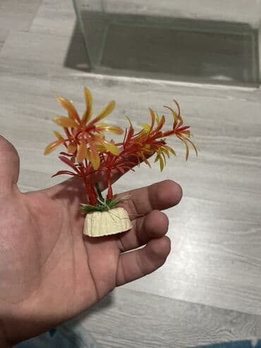 akvarium işıq: Dördbucaq akvarium, Boş, 20 l, Ünvandan götürmə — 9