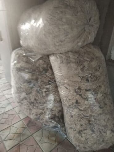 Продукты питания: Məhsul: Qoyun yunu – iri həcmlərdə, şəffaf polietilen kisələrdə — 1