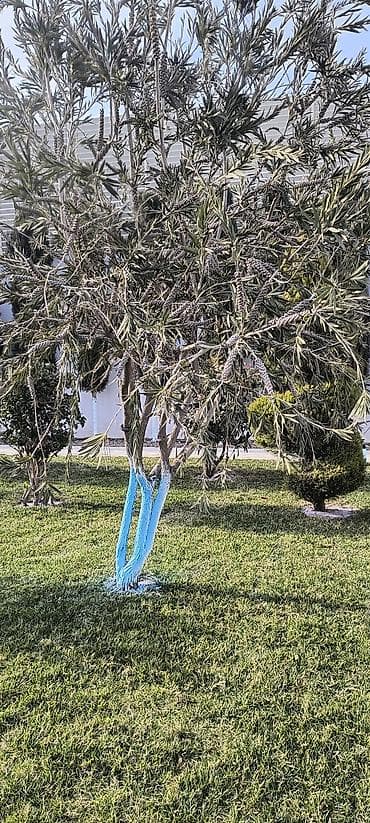 Услуги мастеров по дверям: Aqranom Xidməti – bağ və təsərrüfat üçün professional aqrotexniki — 6