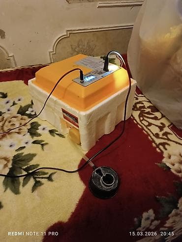 İnkubatorlar: Çin, Bütün növ quşlaq üçün — 3