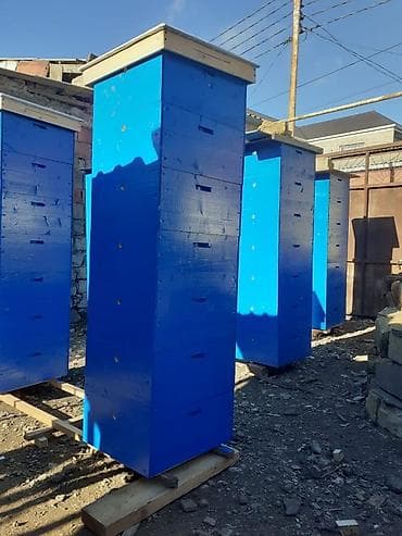 it evlerinin satisi: Arı yeşikləri. Quru taxtadan.1012 ramkalıq yeni yeşiklər.rəng — 6