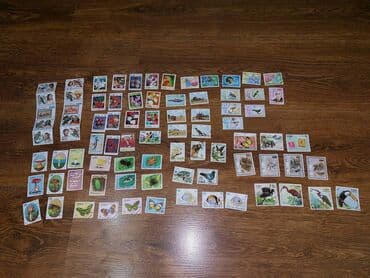 george marka: * Sovet vaxtından qalan xarici markalar. Yeni olaraq o vaxtdan bağlı — 2