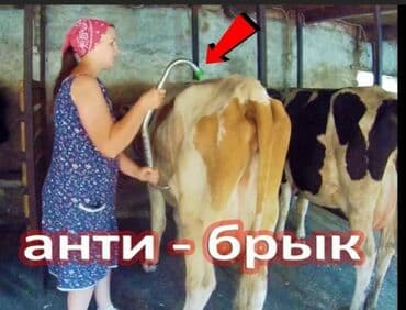 Heyvanların təkmə atmasını qarşını alir . Yeni. Türkiyə istehsalı