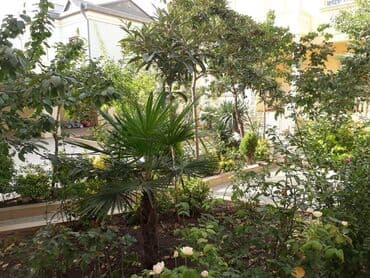 qarayev ev: 10 otaq, 600 kv. m, Kredit yoxdur, Yeni təmirli — 16