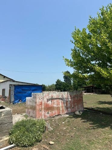 bağ evi satışı: Kənd təsərrüfatı — 5