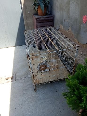 kiçik heyvanlar: Möhkəm metal qəfəs – heyvanlar üçün - Material: polad məftil karkas — 1