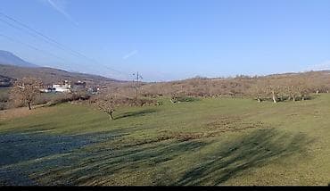 torpag satisi: 50 sot, Kənd təsərrüfatı, Mülkiyyətçi, Kupça (Çıxarış) — 4