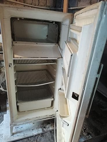 reqemsal kamera: Bir kameralı məişət soyuducusu - Üst hissədə kiçik dondurucu bölmə - — 2