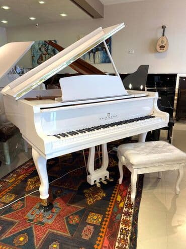 ucuz sıntezatorlar: Royal music yeni bir markanin distributorlugunu aldi — 1