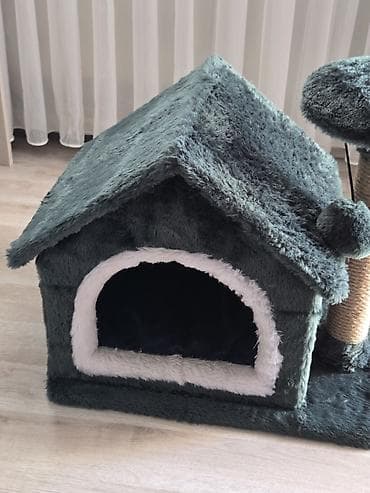 pişik şotlant: Çox səliqəli və rahat pişik evi satılır. Pişiyim üçün almışdım, amma — 2