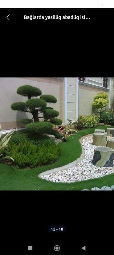 toxum qiymetleri: Villalarda abadliq isi torf satsi gubreler dermanlar torfu 300den cox — 3