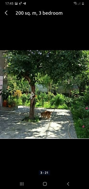 qara qarayev metrosu kirayə evlər: 200 м², 3 комнаты, Газ, Электричество, Водопровод — 17