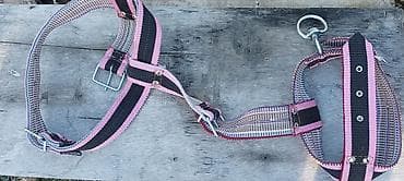 İt üçün qoşqu (harness) - Geniş, möhkəm toxuma lentdən hazırlanıb; lalafo.az -da İt üçün qoşqu (harness) - Geniş, möhkəm toxuma lentdən hazırlanıb;