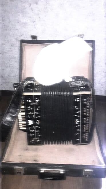 Fleytalar: Akustik Akkordeon, İşlənmiş — 2