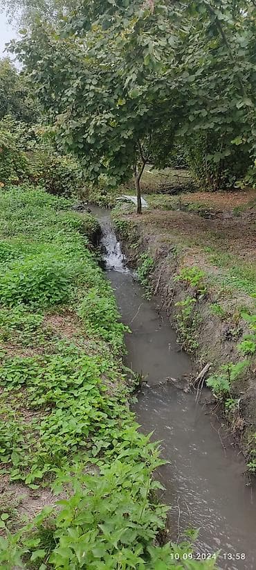 lenkeranda torpaq satilir: 80 sot, Kupça (Çıxarış) — 7