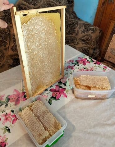 2 yaş tortları: Tebbi şamaxı balı 1 kqsi 35 azn Dağlardan getirilib tebbi çiçək — 5