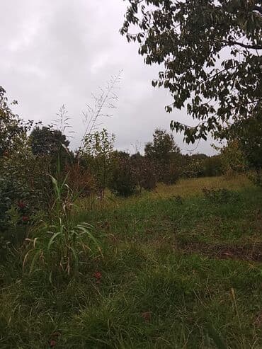 куплю дом в баку: 6 соток — 4