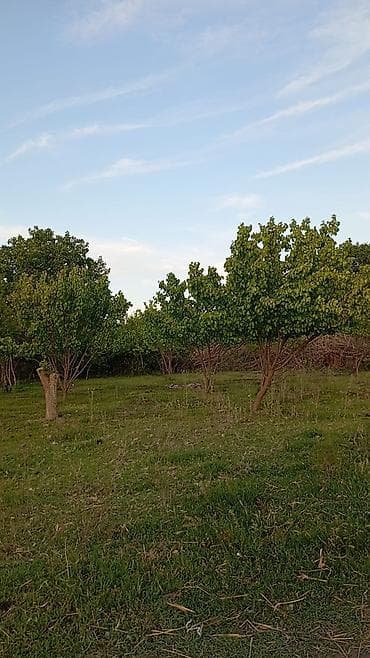 bine savxoz evler: - Məkan: həyətyanı sahəsi olan fərdi yaşayış evi - Ümumi planlama: bir — 10