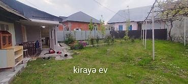Həyətyanı ev – geniş həyət və mebel/texnika ilə - Həyət: yaşıllıqlı