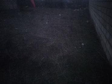 coratda torpaq: 2 sot, Tikinti, Mülkiyyətçi, Kupça (Çıxarış) — 5