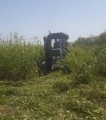 qedimi xalca satiram: Salam. Topdan satışdır. Ünvana çatdırılma var. Bütün rayonlarına — 4