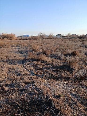 ev satilir type 1: 65 sot, Tikinti, Mülkiyyətçi, Kupça (Çıxarış) — 3